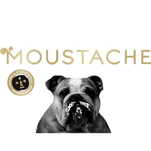 Logo Agence Créative Minimaliste Moderne Blanc et Bleu (27)